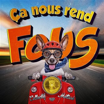 Ça nous rend fous - Collectif Métissé