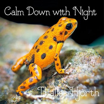 Calm Down with Night - Thalles Hjorth