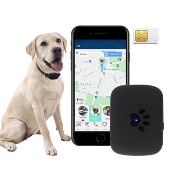 CALMEAN Pet Tracker MAXI + obroża L/XL + karta SIM - CALMEAN