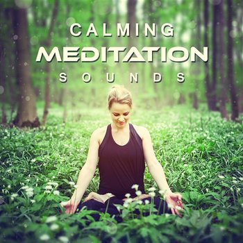 Calming Meditation Sounds: Relax, Zen Garden, New Age, Relaxing Music, Welness Soundtrack, Natural Remedy, Sleep Well - Meditation Mantras Guru