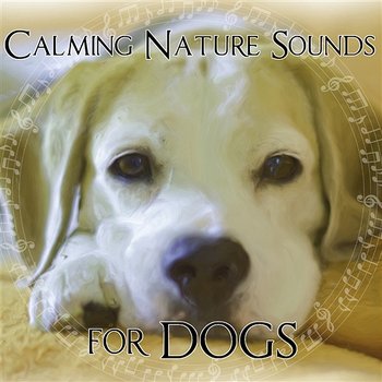 Calming Nature Sounds for Dogs – Music Therapy for Pets While You Are out, Relaxing Anti Stress Sounds - Anti Stress Dog’s Music