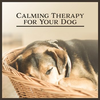 Calming Therapy for Your Dog: Music for Pets, Dealing with Anxiety, Nature's Aid, Easy Listen, Inner Harmony, Dogs Psychic Healing, Animal Reiki - Pet Relax Academy