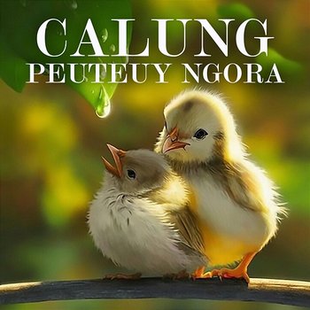 Calung Peuteuy Ngora - Darso