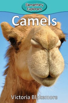 Camels - Blakemore Victoria