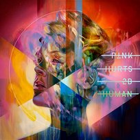 Can We Pretend P!nk feat. Cash Cash