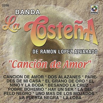 Canción De Amor - Banda La Costena