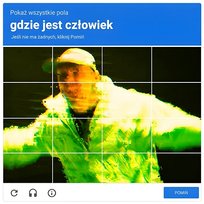 CAPTCHA Wavy., Zeus