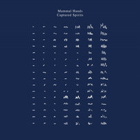 Captured Spirits Mammal Hands