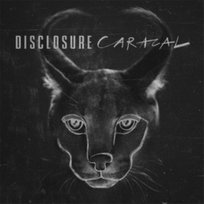 Caracal Disclosure