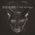 Caracal PL - Disclosure
