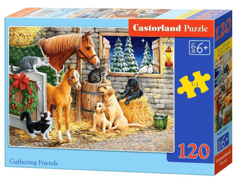 Castor, puzzle Spotkanie przyjaciół