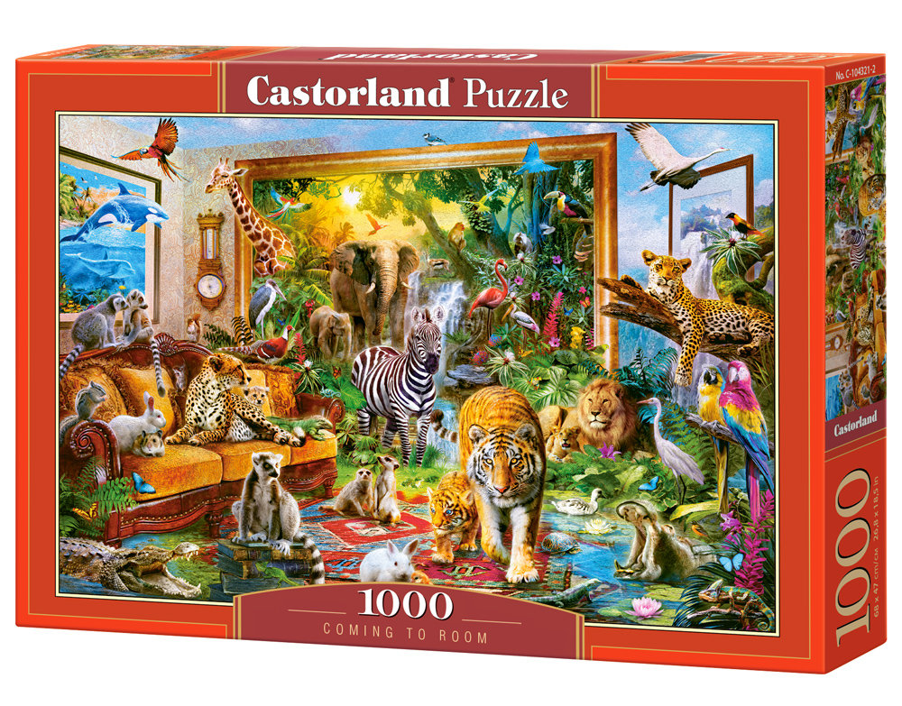Castorland, puzzle, Coming to Room, 1000 el.