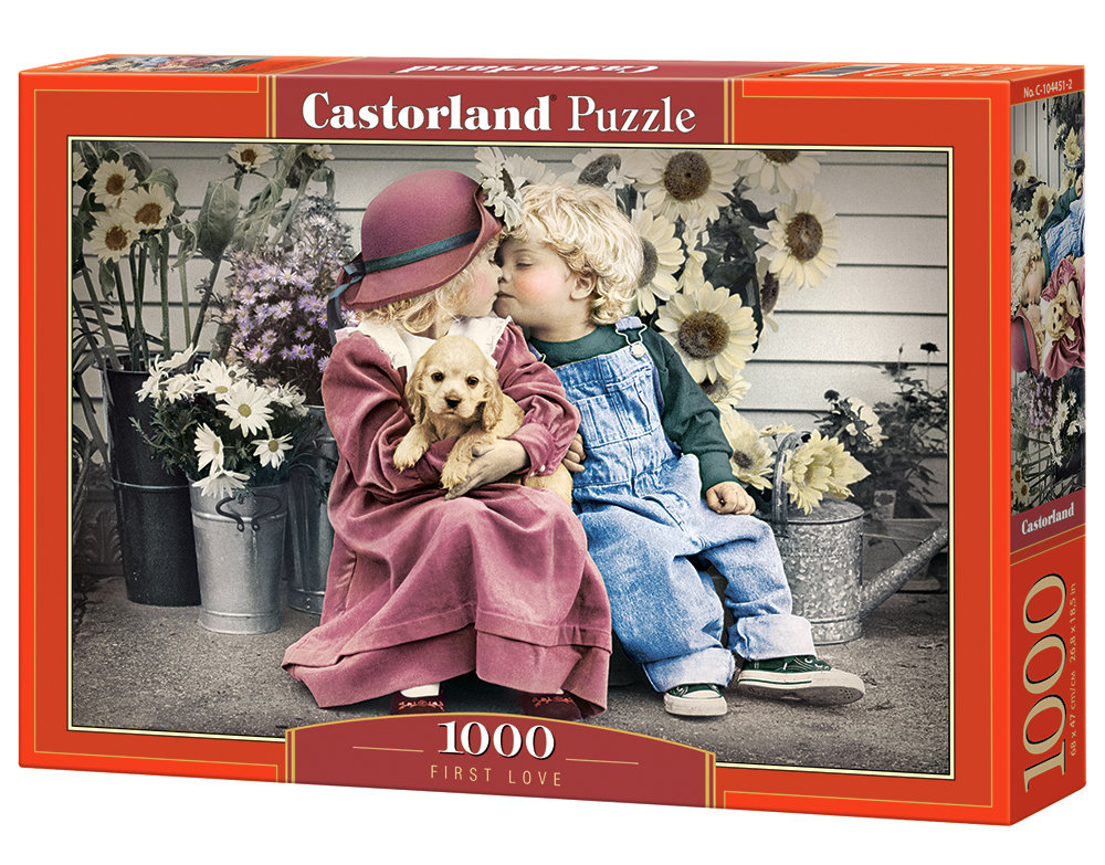 Castorland, puzzle, First Love, 1000 el.