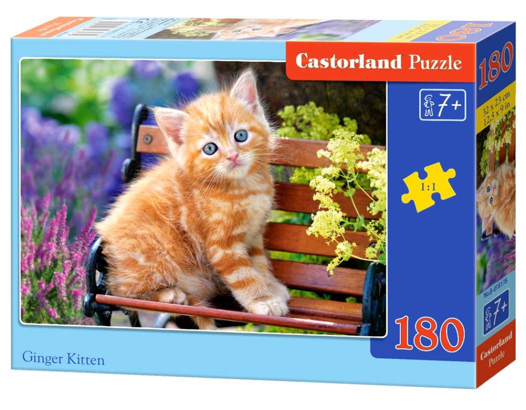 Castorland, puzzle, Ginger Kitten, 180 el.