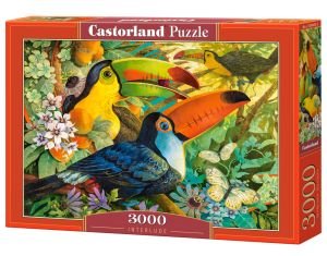 Castorland, puzzle, Interlude, 3000 el.