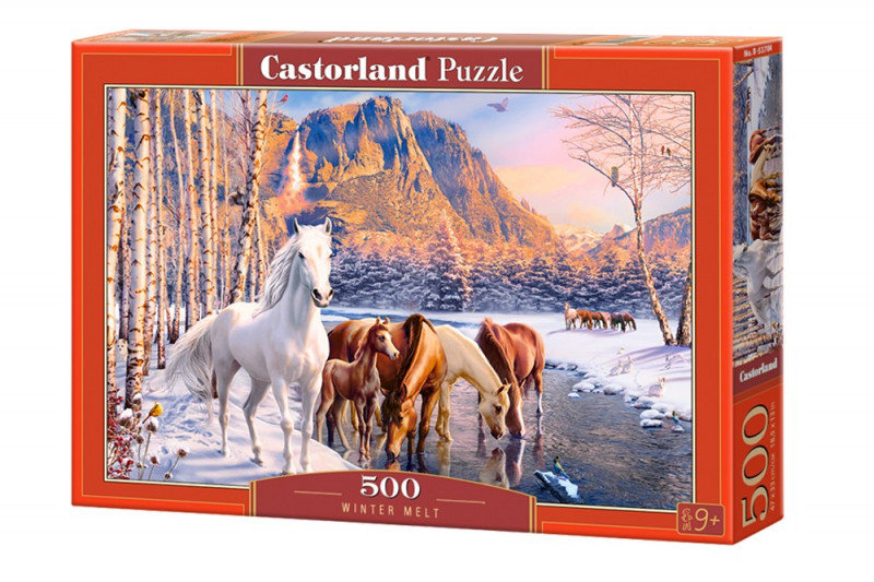 Castorland Puzzle CSB52790: Un Classico Per Tutta La Famiglia, Qualità Garantita! - 5