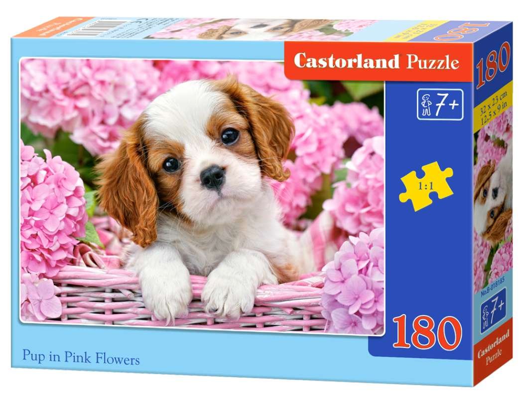 Castorland, puzzle, Pup in Pink Flowers, 180 el.