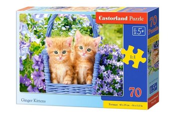 Castorland, puzzle, Rude kotki, 70 el. - Castorland