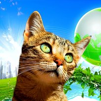 Cat Ambient Bartek Pokusa