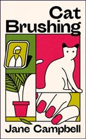 Cat Brushing: a dazzling short story collection about thirteen older women Jane Campbell