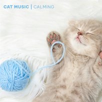 Cat Music - Calming Songs for Cats and Kittens Cat Music Experience, Cat Music