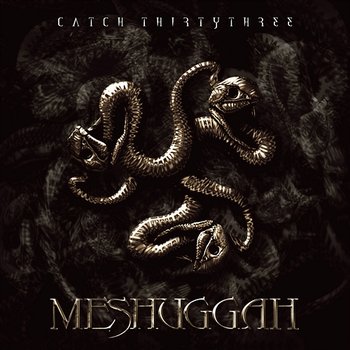 Catch ThirtyThree - Meshuggah