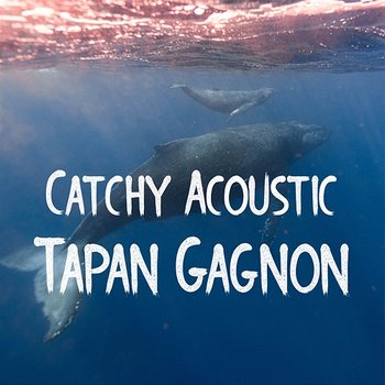 Catchy Acoustic - Tapan Gagnon