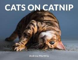 Cats on Catnip - Marttila Andrew