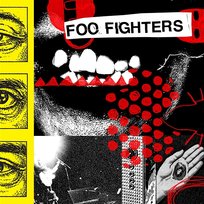 Caught in the Echo Foo Fighters