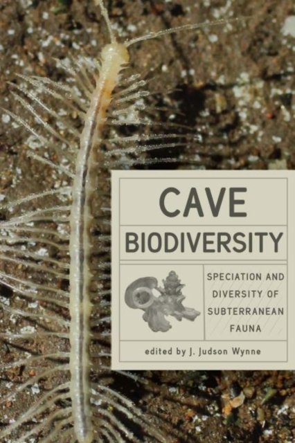 Cave Biodiversity Speciation And Diversity Of Subterranean Fauna Johns Hopkins University