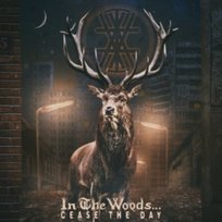 Cease The Day In the Woods