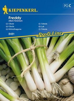 Cebula Freddy Allium fistulosum - KIEPENKERL