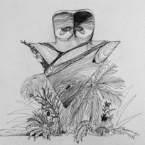 Cercueil Flottant Papillon