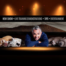 Cesar Millan