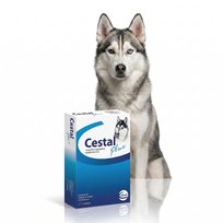 Ceva Cestal Plus 8 szt. tabletki na odrobaczanie dla psa smakowe