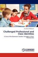 Challenged Professional and Class Identities - Madroane Irina Diana