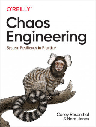 Chaos Engineering - Opracowanie zbiorowe | Książka w Empik