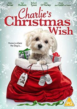 Charlie's Christmas Wish - Various Directors
