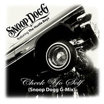 Check Yo Self Snoop Dogg Featuring The Hustle Boyz