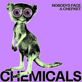 Chemicals - Nobodys Face, Chefket