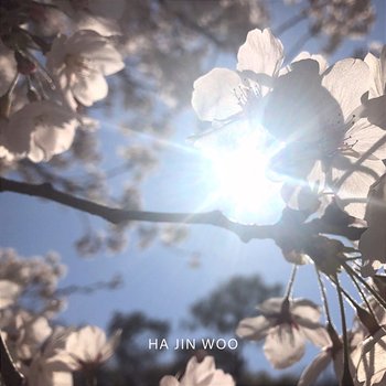 Cherry Blossom - Ha Jin Woo