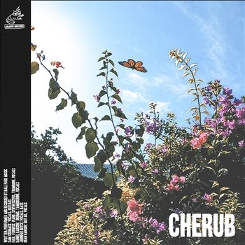 Cherub - Ball Park Music