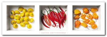 Chilies And Patissons plakat obraz 95x33cm - Wizard+Genius