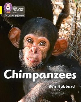 Chimpanzees: Band 03/Yellow - Hubbard Ben