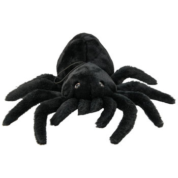 Chinchilla, Pająk na sznurku 2 - Chinchilla