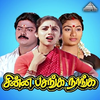 Chinna Pasanga Naanga (Original Motion Picture Soundtrack) - Ilaiyaraaja, Gangai Amaran & Vaali