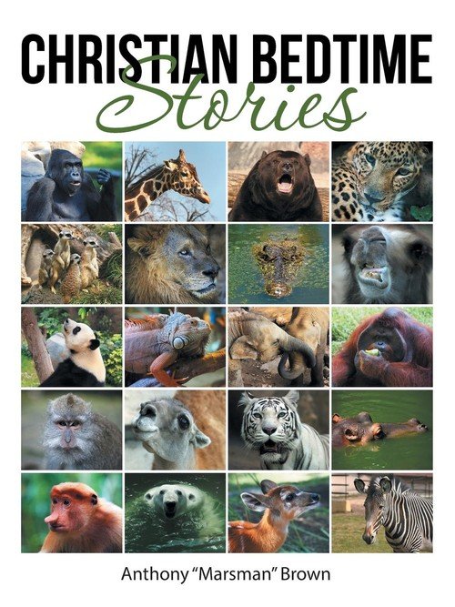 Christian Bedtime Stories Brown Anthony "marsman" Książka w Empik