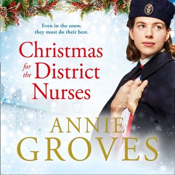 Christmas for the District Nurses (The District Nurse, Book 3) - Groves Annie
