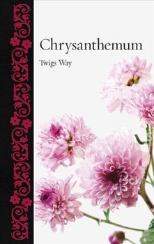 Chrysanthemum - Way Twigs