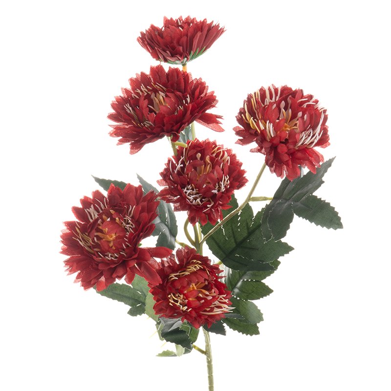 Ułożenie Liści Na łodydze www.empik.com